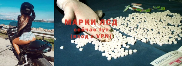 прущие грибы Баксан